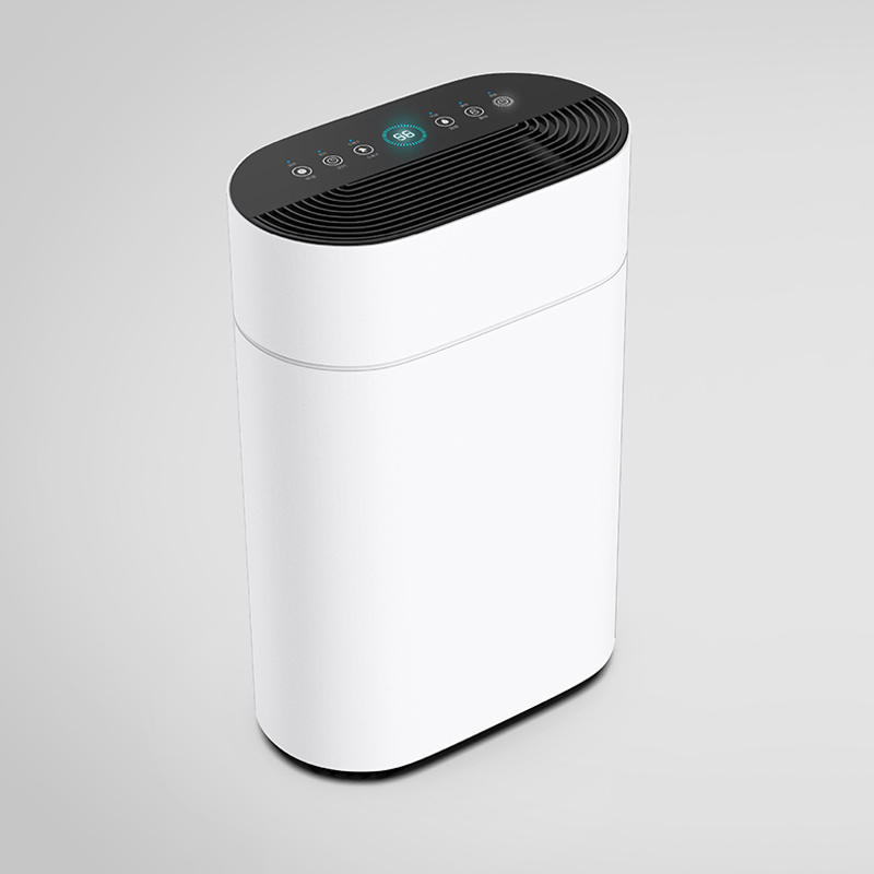 10L China Factory Price Intelligent Humidity Control Cloth Drying Mini Dehumidifier